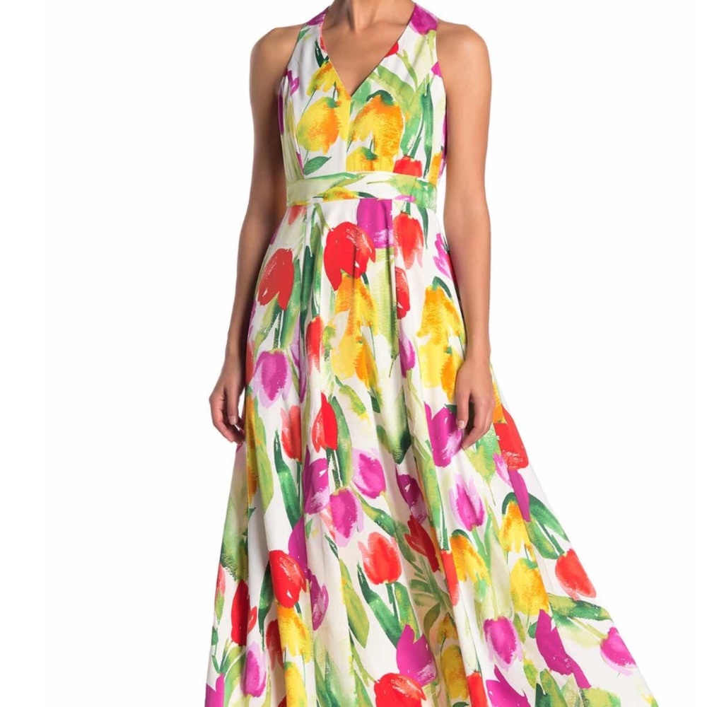 Maggy London Floral V neck A- line Maxi Dress